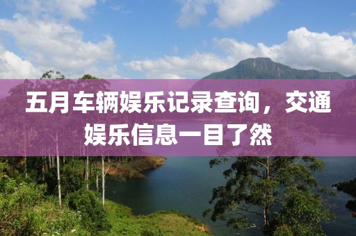 五月车辆娱乐记录查询，交通娱乐信息一目了然