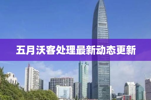 五月沃客处理最新动态更新