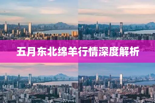 五月东北绵羊行情深度解析