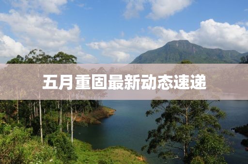 五月重固最新动态速递