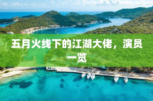 五月火线下的江湖大佬，演员一览