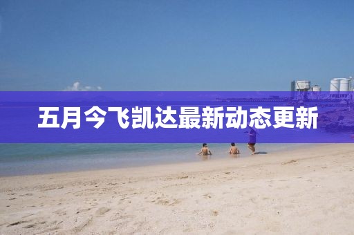 五月今飞凯达最新动态更新