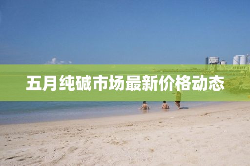 五月纯碱市场最新价格动态
