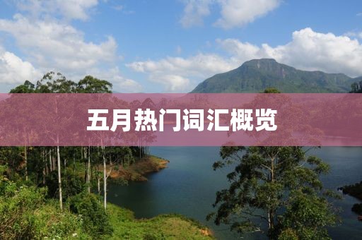 五月热门词汇概览