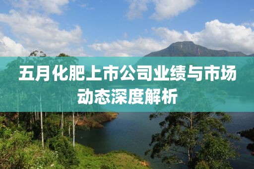五月化肥上市公司业绩与市场动态深度解析