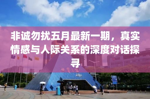 非诚勿扰五月最新一期，真实情感与人际关系的深度对话探寻