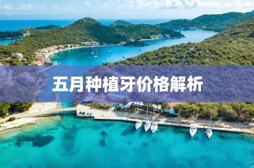 五月种植牙价格解析