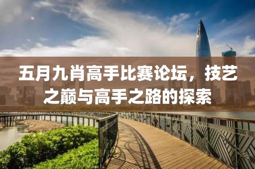 五月九肖高手比赛论坛，技艺之巅与高手之路的探索