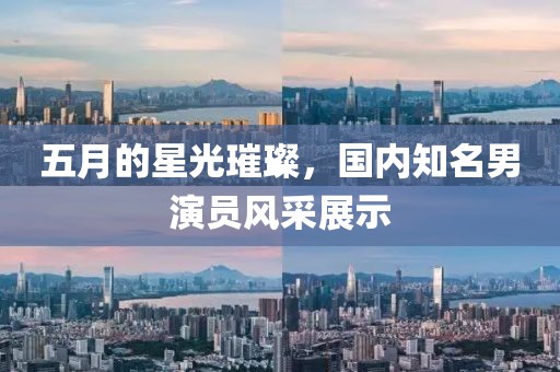 五月的星光璀璨，国内知名男演员风采展示