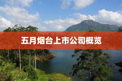 五月烟台上市公司概览