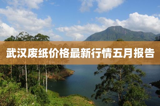武汉废纸价格最新行情五月报告
