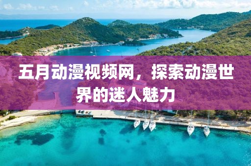 五月动漫视频网，探索动漫世界的迷人魅力
