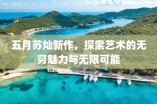 五月苏灿新作，探索艺术的无穷魅力与无限可能