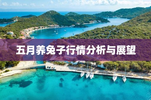 五月养兔子行情分析与展望