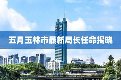 五月玉林市最新局长任命揭晓