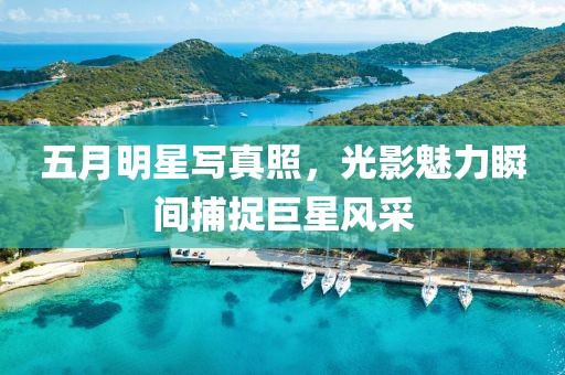 五月明星写真照，光影魅力瞬间捕捉巨星风采