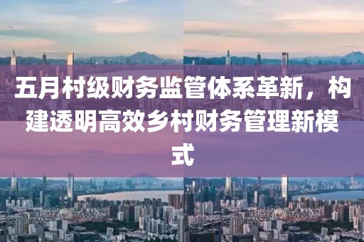 五月村级财务监管体系革新，构建透明高效乡村财务管理新模式