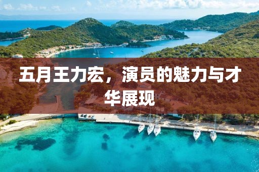五月王力宏，演员的魅力与才华展现