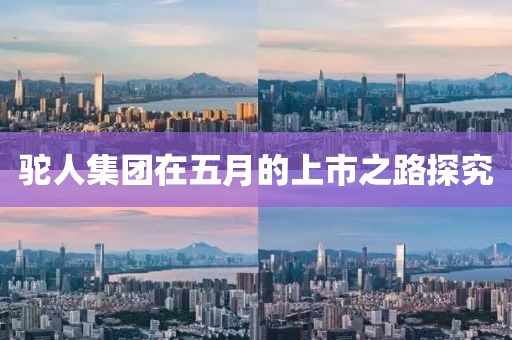 驼人集团在五月的上市之路探究