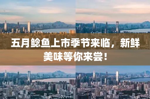 五月鲶鱼上市季节来临，新鲜美味等你来尝！