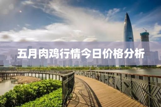 五月肉鸡行情今日价格分析