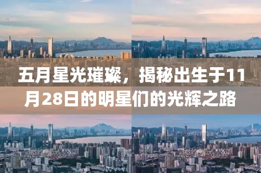 五月星光璀璨，揭秘出生于11月28日的明星们的光辉之路