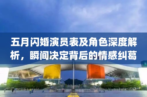五月闪婚演员表及角色深度解析，瞬间决定背后的情感纠葛