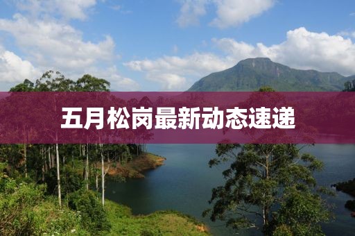 五月松岗最新动态速递