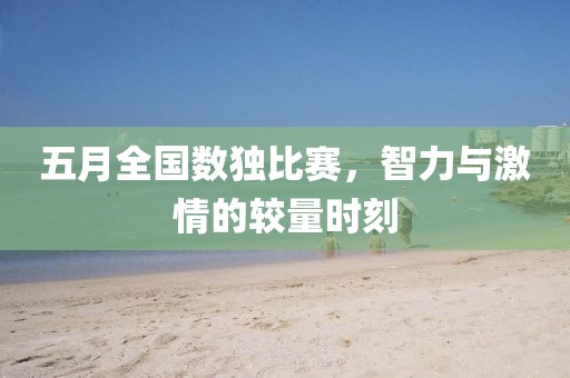 五月全国数独比赛，智力与激情的较量时刻