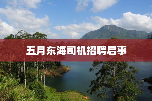 五月东海司机招聘启事