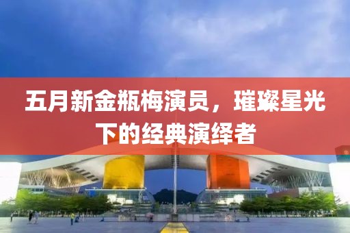 五月新金瓶梅演员，璀璨星光下的经典演绎者