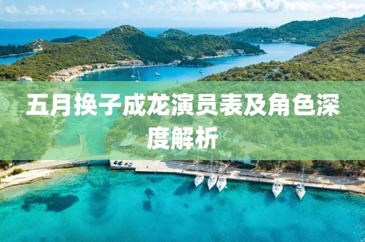 五月换子成龙演员表及角色深度解析