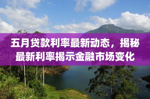 五月贷款利率最新动态，揭秘最新利率揭示金融市场变化