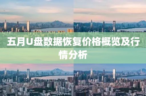 五月U盘数据恢复价格概览及行情分析