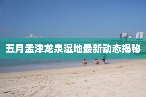 五月孟津龙泉湿地最新动态揭秘