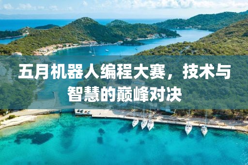 五月机器人编程大赛，技术与智慧的巅峰对决