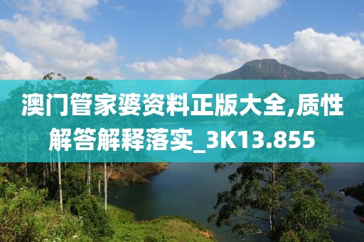 澳门管家婆资料正版大全,质性解答解释落实_3K13.855