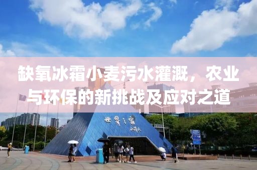 缺氧冰霜小麦污水灌溉