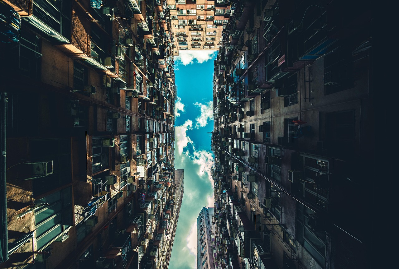 暴走的兔子 第61页