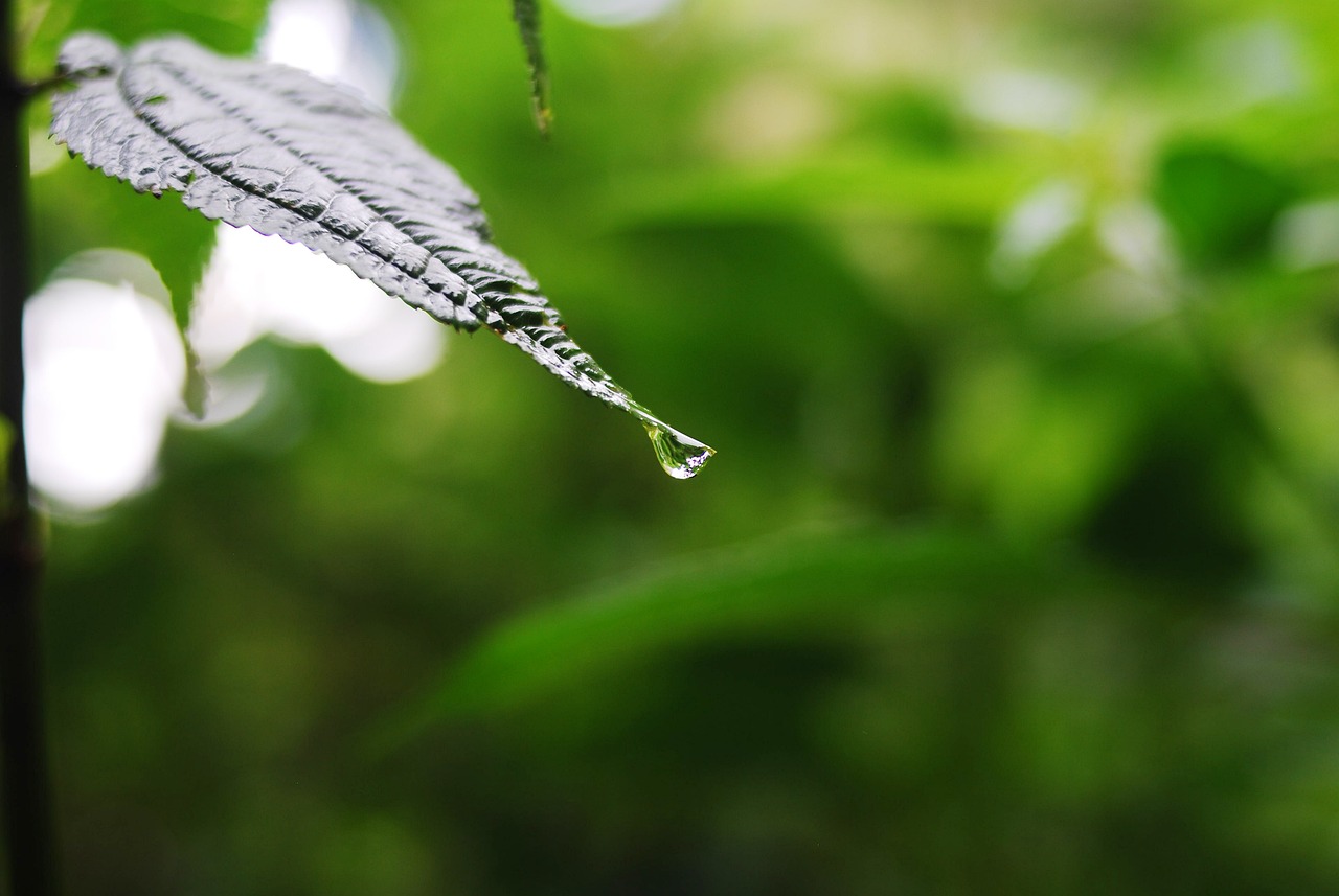 四环生物最新公告发布，关注最新动态