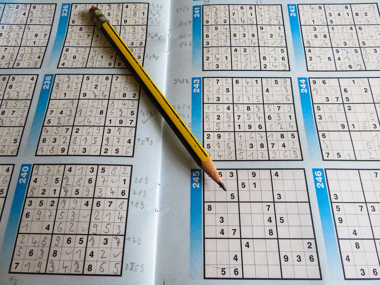 2024年澳彩综合资料大全,逻辑探讨解答解释现象_开发款30.943