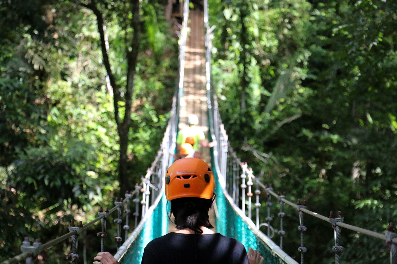 最新暮色森林，自然探险与奇幻之旅的冒险之旅