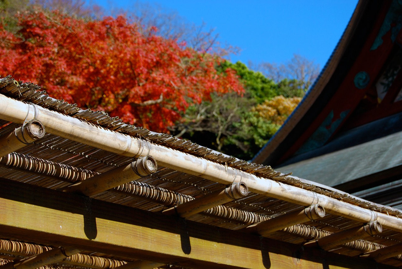 攀枝花南站建设最新进展更新