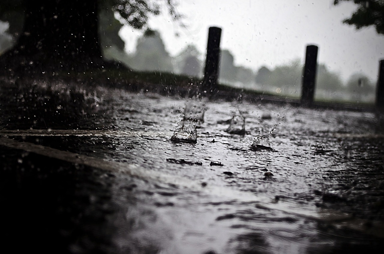 沈阳大雨最新视频观察报告，暴雨实况与影响分析