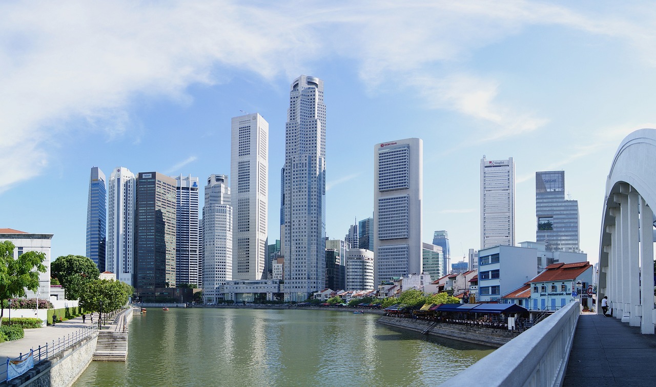 维纳斯新资讯，引领潮流，探索未来趋势